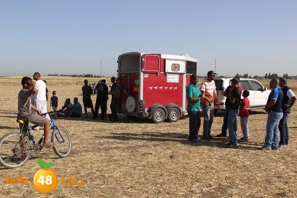 horse race 0602 (52).JPG